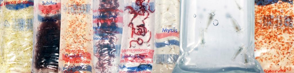 live bloodworm, daphnia, black worms and other tropical fish food delivered to your door.