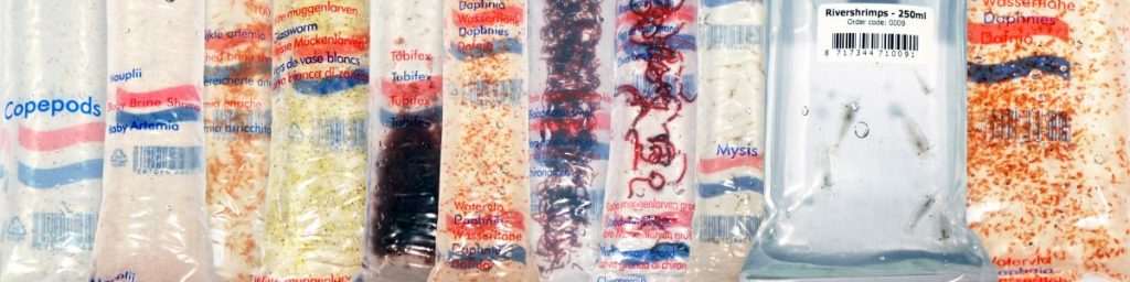 Live fish food by post is delivered to your door as a treat food for your tropical fish