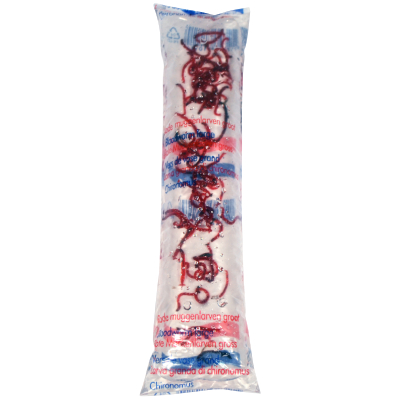 What are bloodworm? Find out in this post, here is a photo of a bag of live bloodworms.