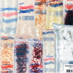 Live Fish Food by Post deliver boxes of fresh fish food to your door if you live in the UK.