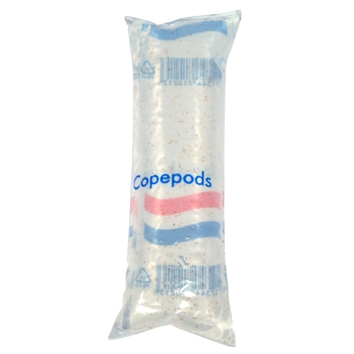 Should I add copepods to my reef tank? Yes, add to a marine tank, we send these by post in the UK.